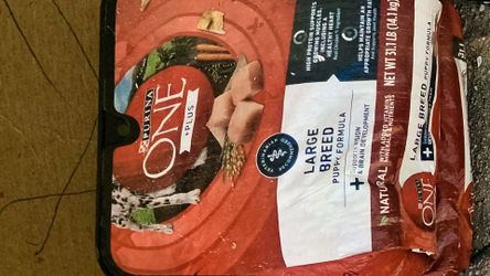 Pet food Purina
