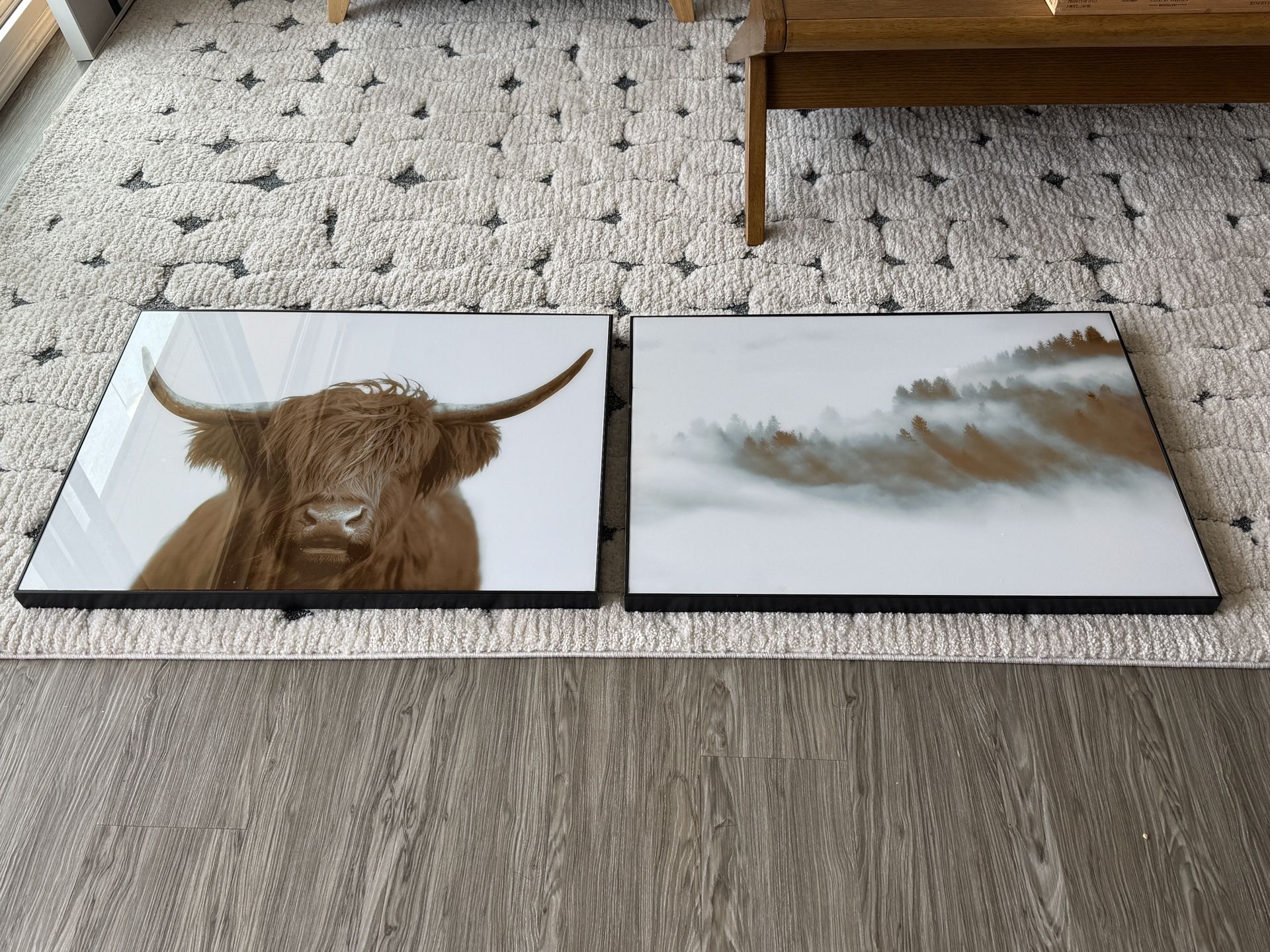 Framed Wall Art photographs