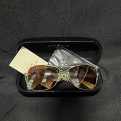 Coach Sunglasses