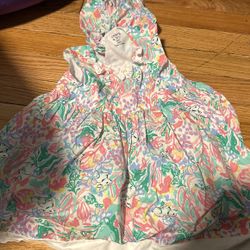 Crown & Ivy baby dress -18 months