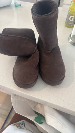 Chocolate Uggs Mens 10