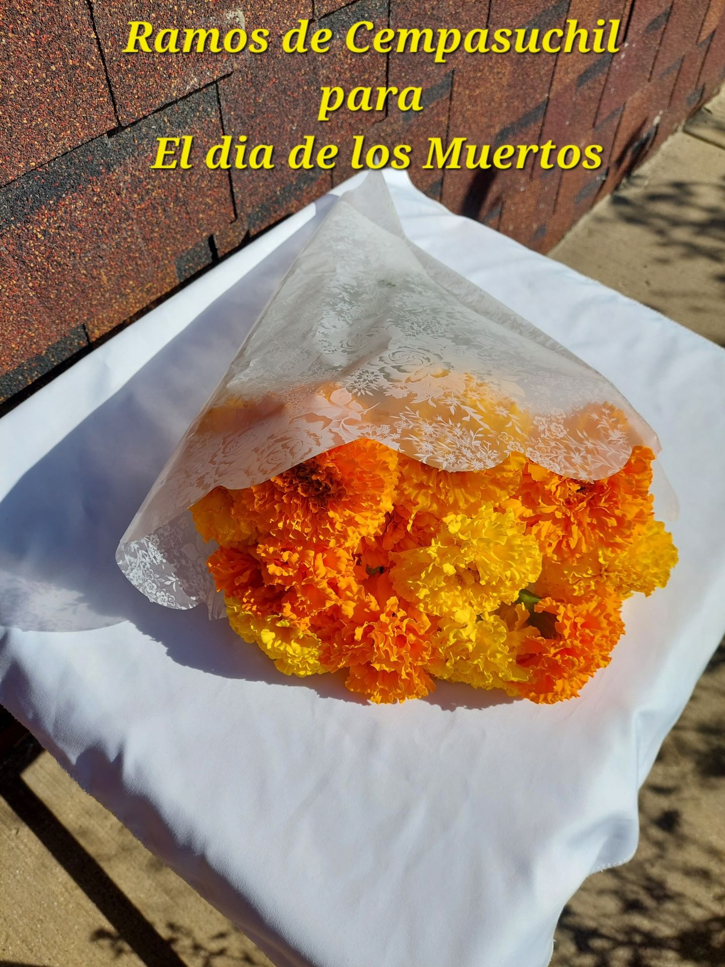 Ramos De Cempasuchil