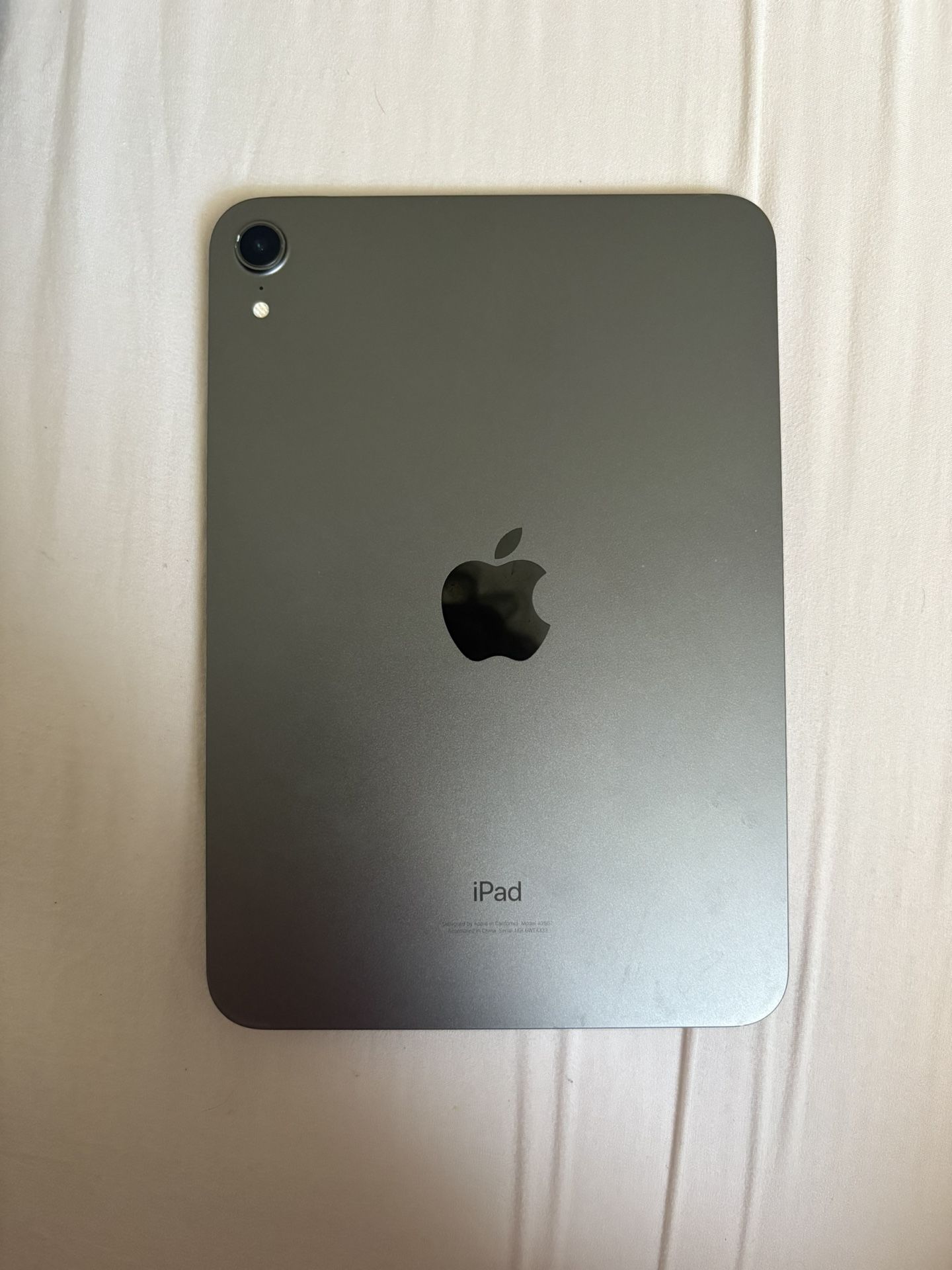 iPad Mini 256 Gigs 2022