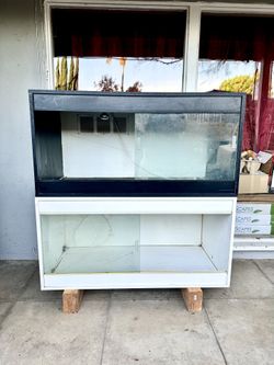 Reptile display case style cages