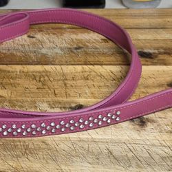 Diamond Studded Dog Leash For Large Dogs