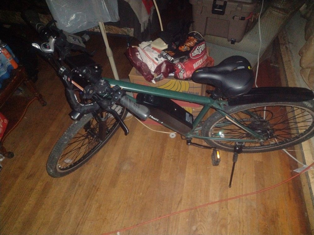 500 Watt 48 Volt Ebike