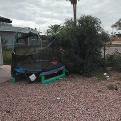 Trampoline 
