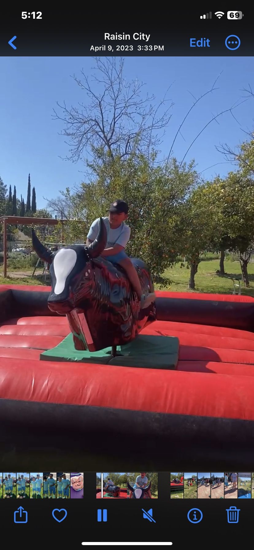 Mecanico Bull