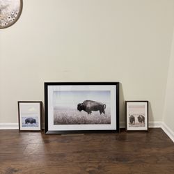 Bison Wall Art Set – $55 OBO