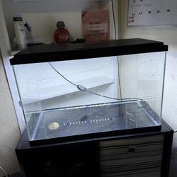 Imagitarium LED Aquarium Kit, 20.15" W X 12.6" H, 10 Gallon