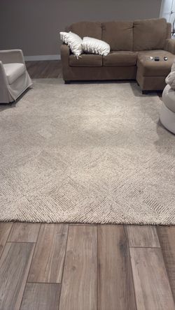 Large Neutral Tone Area Rug