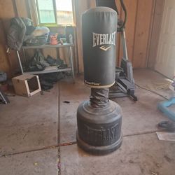 Everlast Powercore Freestanding Heavy Bag