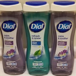 Dial Body Wash 16oz Each 
