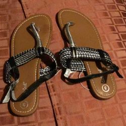 Nuevos Huarachitos De Cat &jack Zise 3