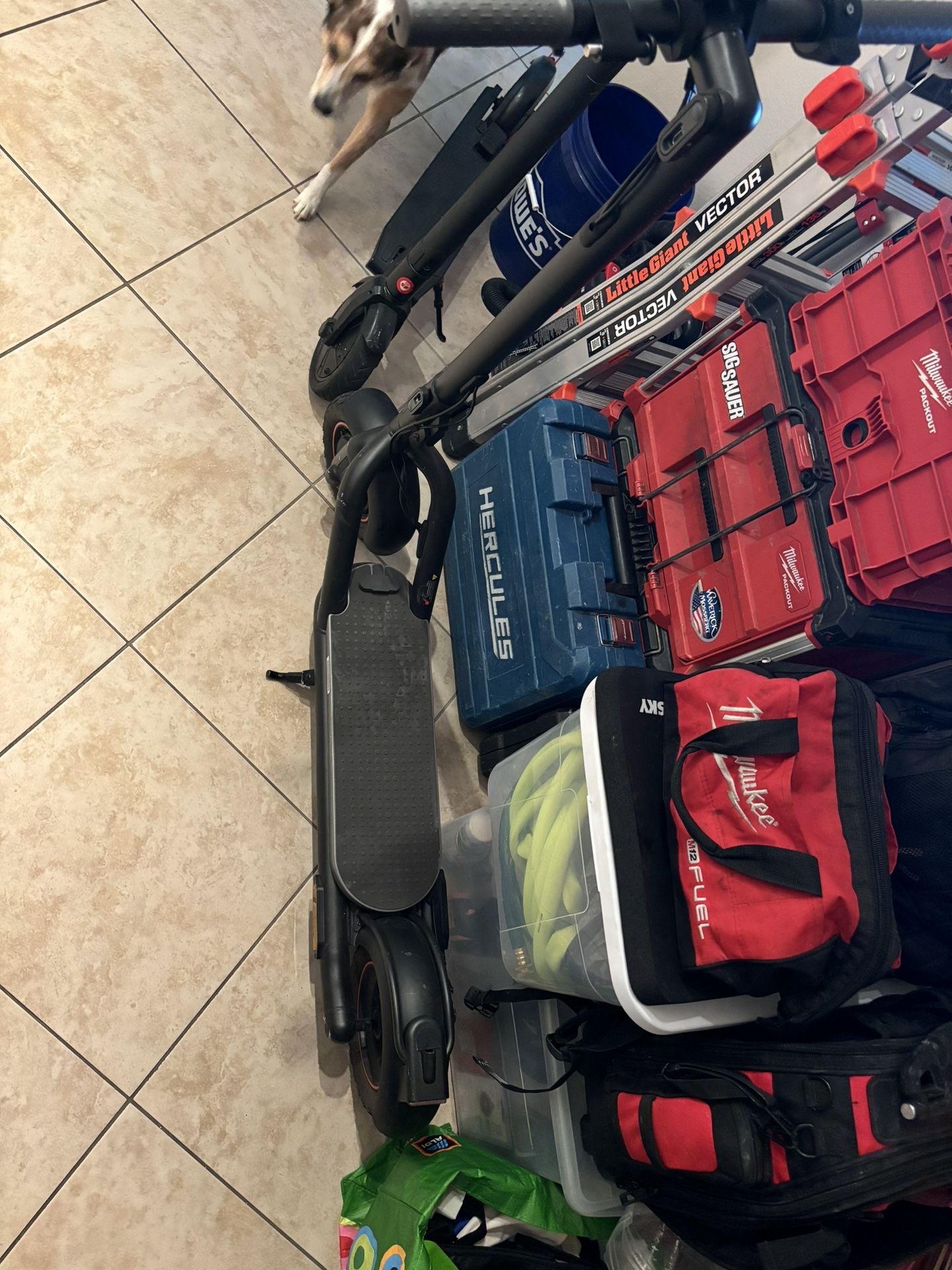 Navi V40