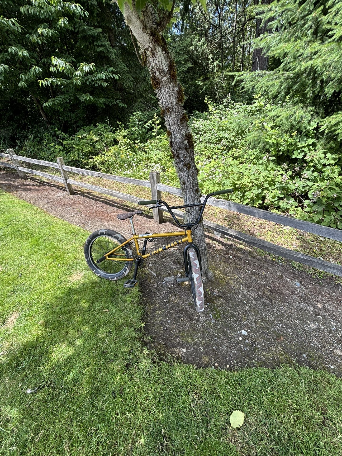 Professional BMX bike