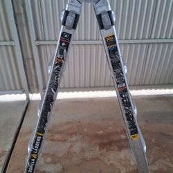 Gorilla Ladder