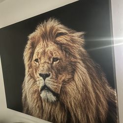 Large Lion Painting 
