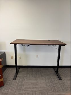 UPLIFT Standing Desk - Walnut