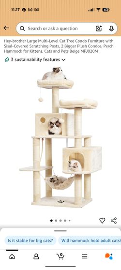 Hey -Brother cat tree in very good condition