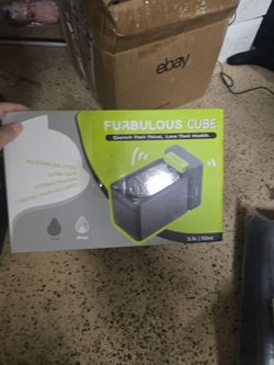 Pet electric drinking water system