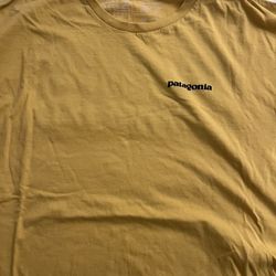 Patagonia shirt 