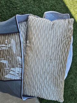 Set of 2 throw pillows