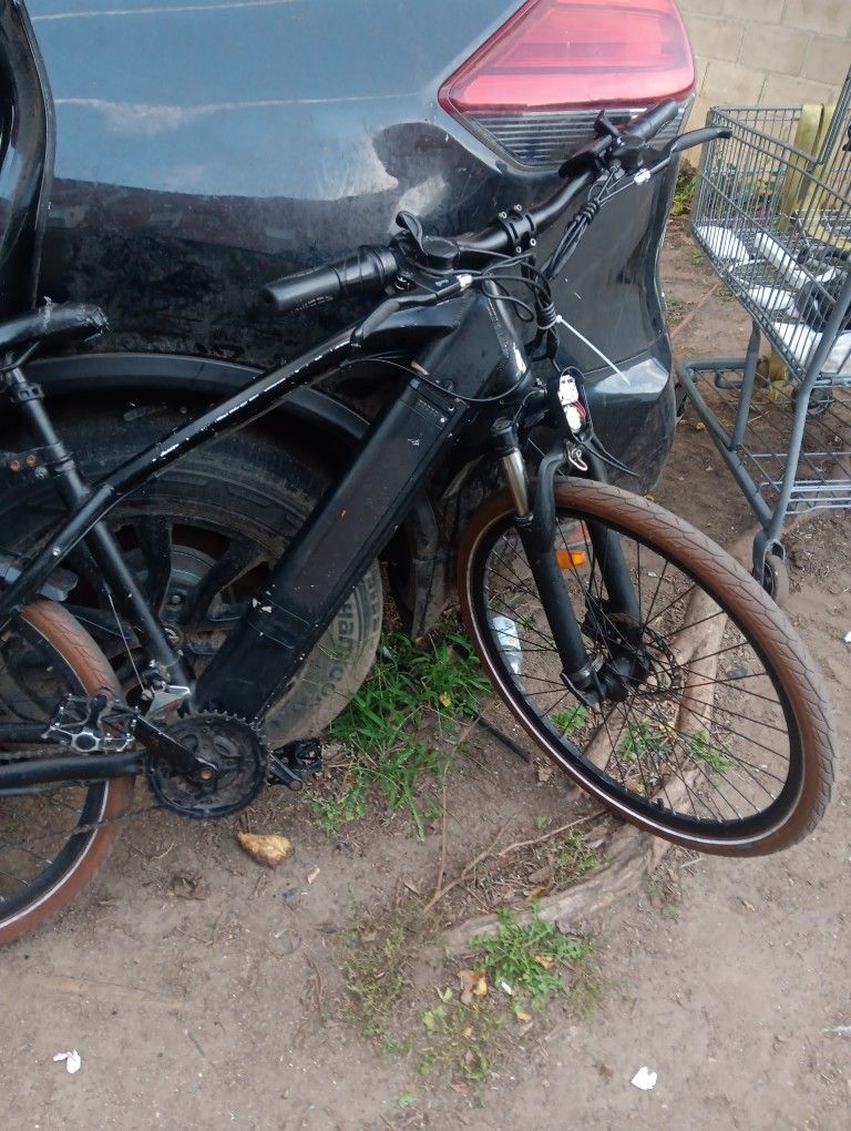 Eltric Bike