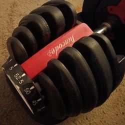 1 Adjustable Dumbbell 52.5 Ibs (USED)