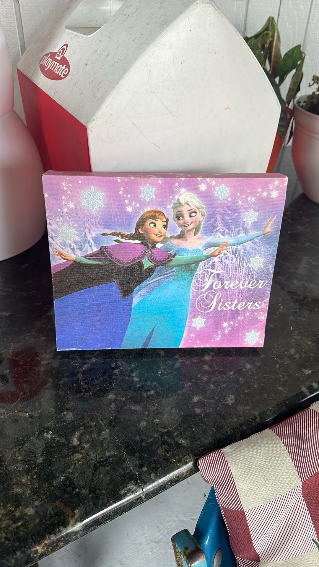 adorable Frozen Wall Canvas