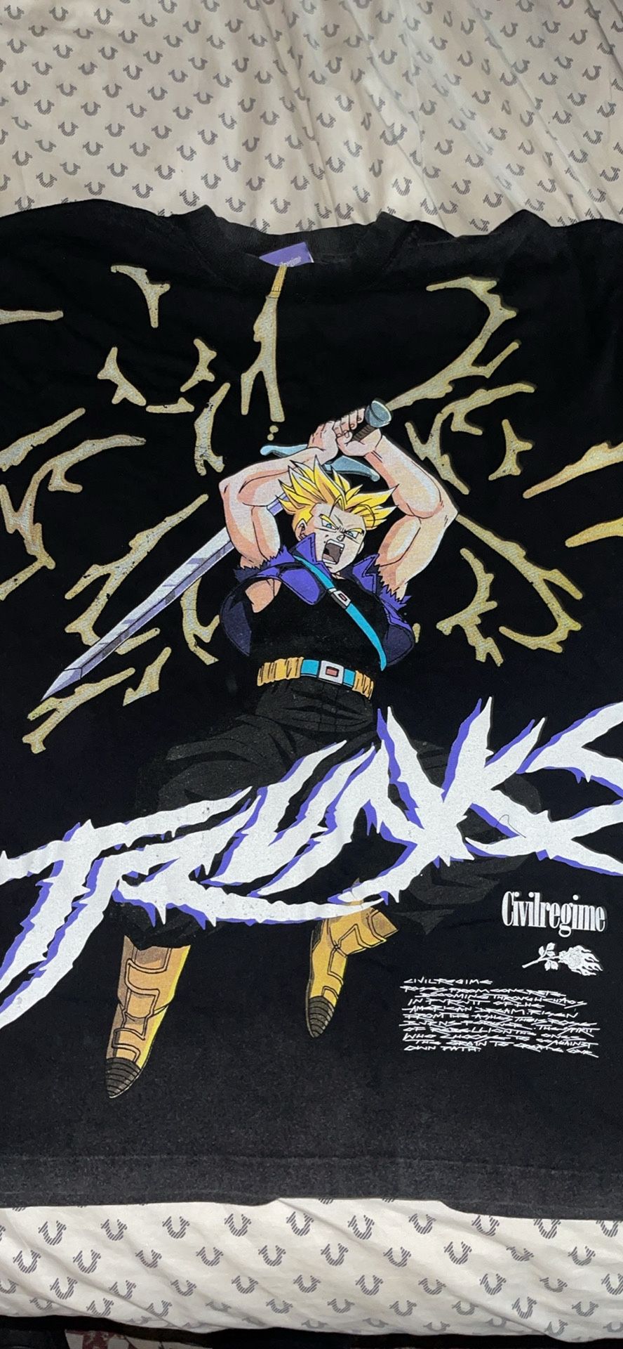 DRAGONBALL Z CIVIL REGIME