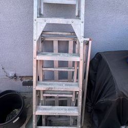 7 Foot Ladder 