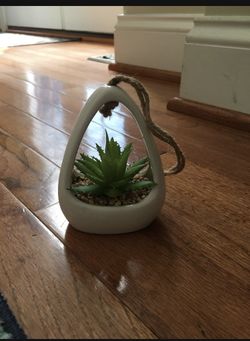 Decorative Fake Cacti