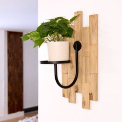Interior wall teak planter