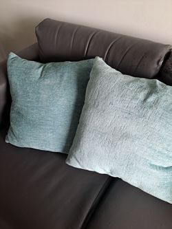 2 Couch Pillows