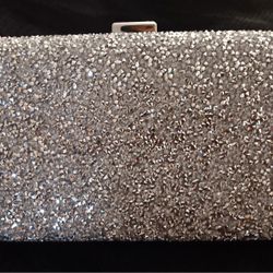 Silver Purse