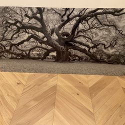 Glass Print 3X6 FT Has Mounts On Back . Was $1200 New Asking $350