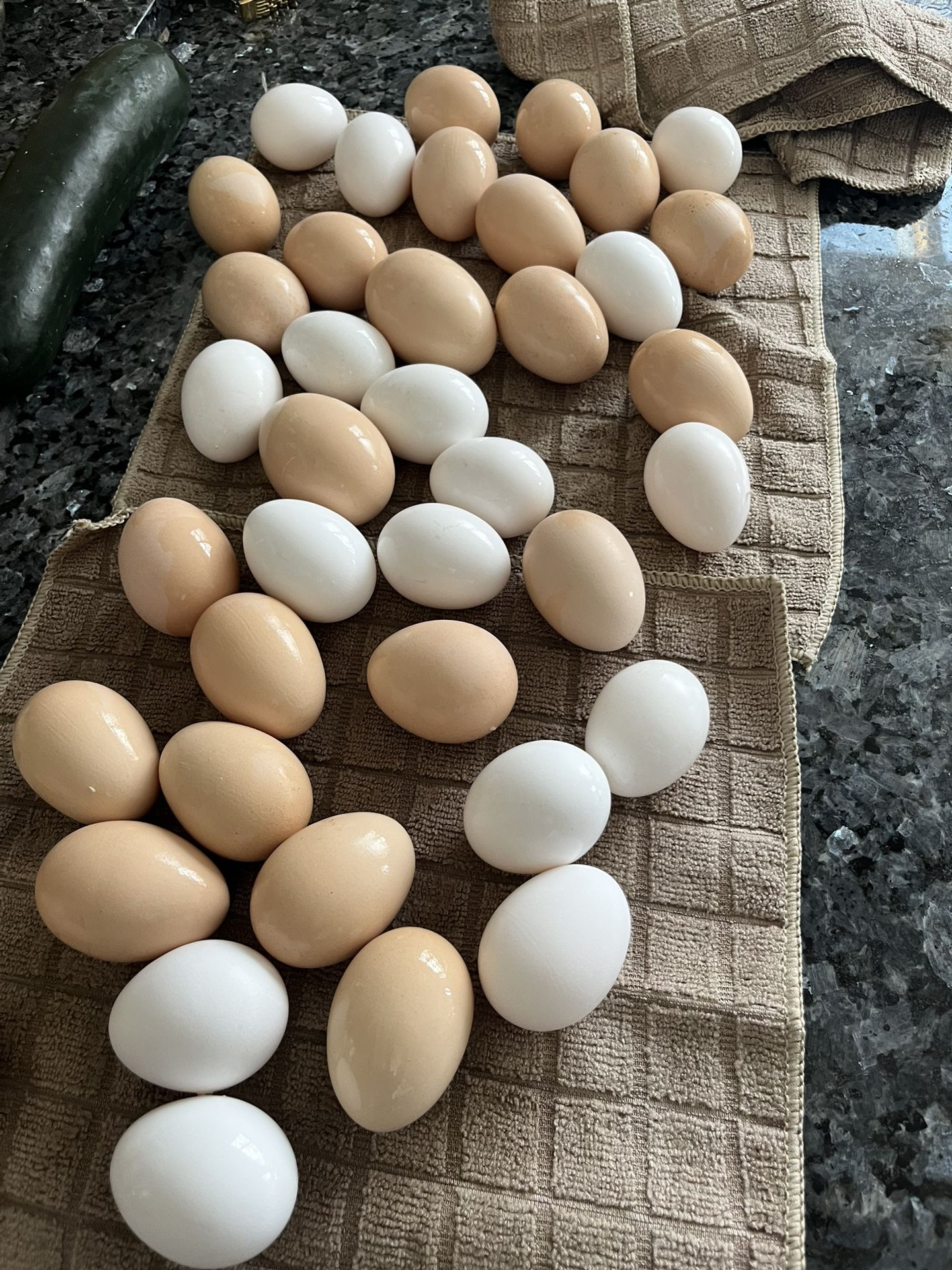 Fresh Eggs Unwashed 