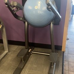 Life Fitness Bosu Leg Raise