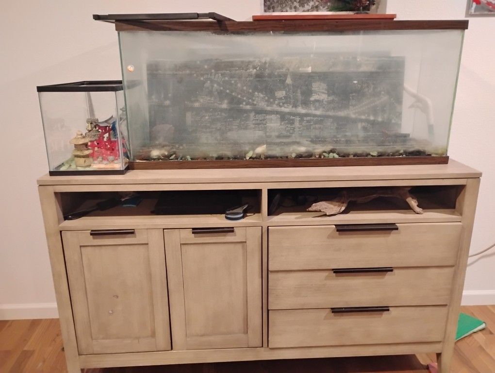 Fish Tank Separate Or Together 