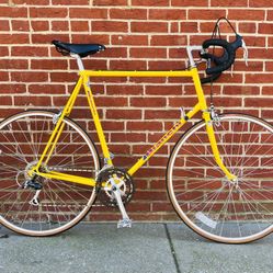 Bianchi Premio 64cm Road Bike