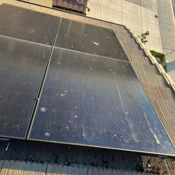 Bird Proofing and Solar cleaning