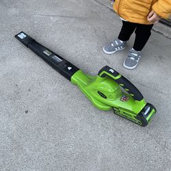 Greenworks Leaf Blower with battery and charger