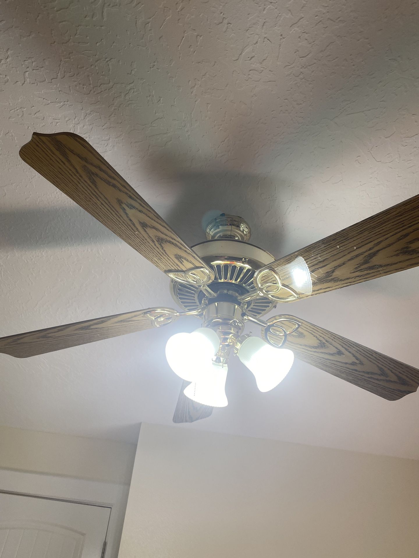 Ceiling Fan