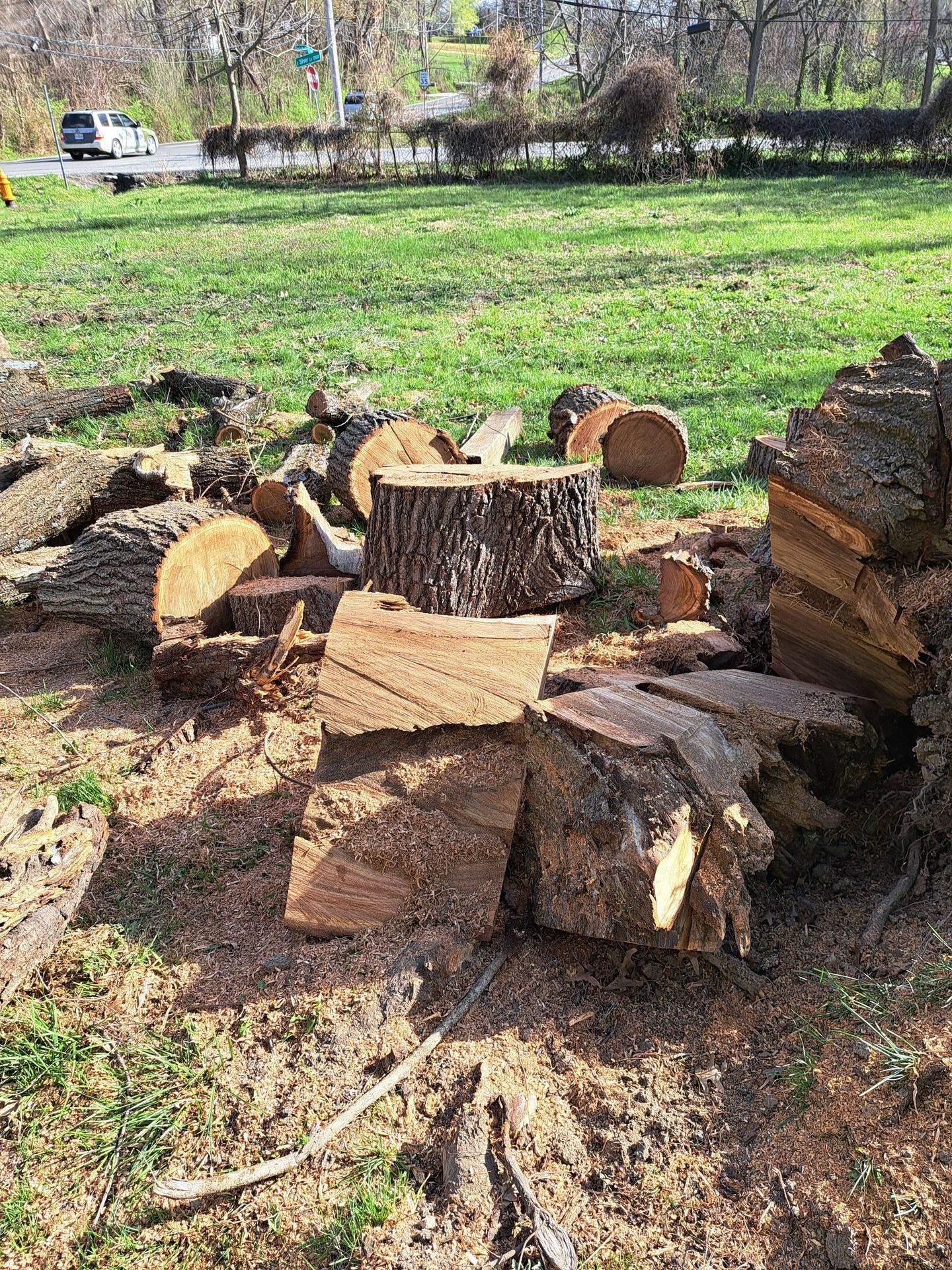 Free wood must go this weekend great for stumps fire pits, firewood sell it use it keep it to Cut. Just need you to pick it up.