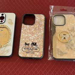 iPhone 15 ProMax Cases 