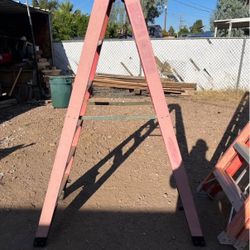 6 Foot Ladder