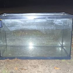 40 Gallon Aquarium For Sale 