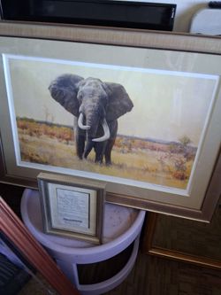 Beautiful elephant picture