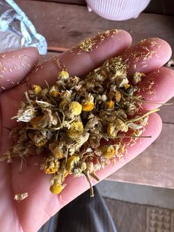 Dried Herbs!